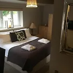 The Curious Fox Bed & Breakfast