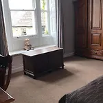 The Curious Fox