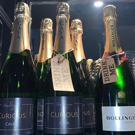 Bed & Breakfast The Curious Fox