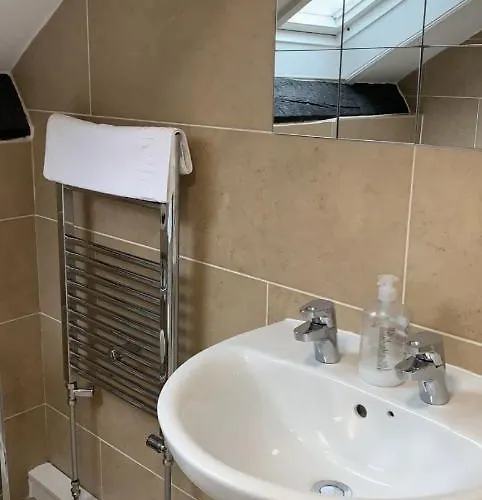 The Curious Fox 5* 斯基普顿