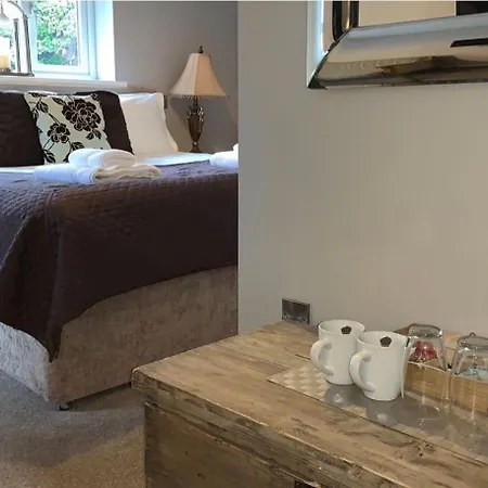 Oda ve Kahvaltı The Curious Fox