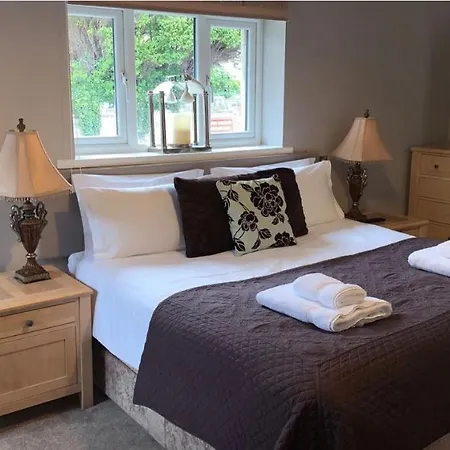 Oda ve Kahvaltı The Curious Fox